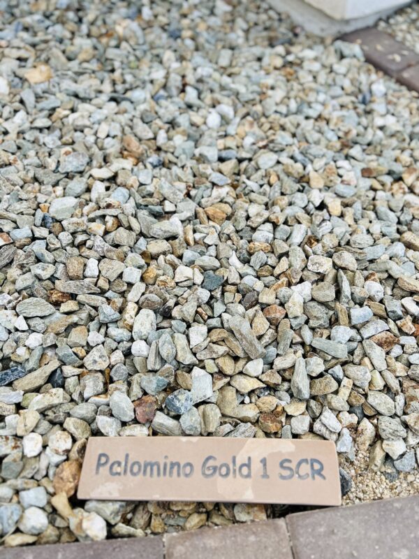 Palomino gold 1"